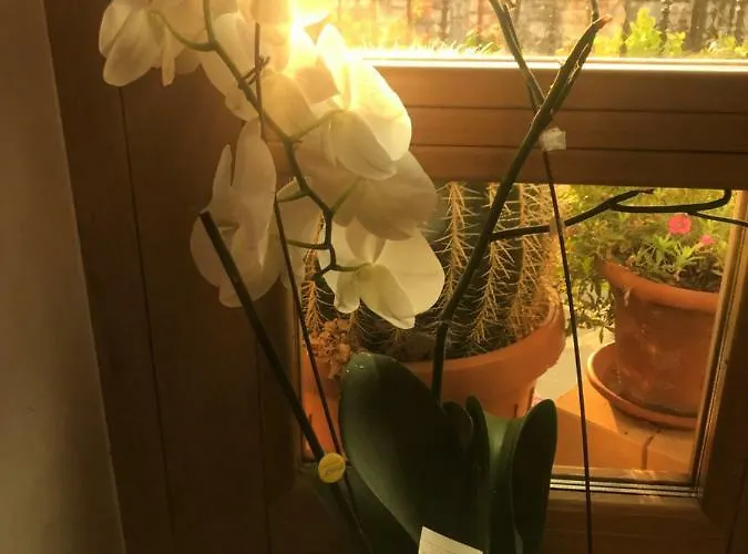 Couette-café Puffele