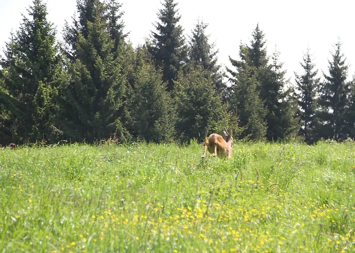 Bed and breakfast Puffele Enego