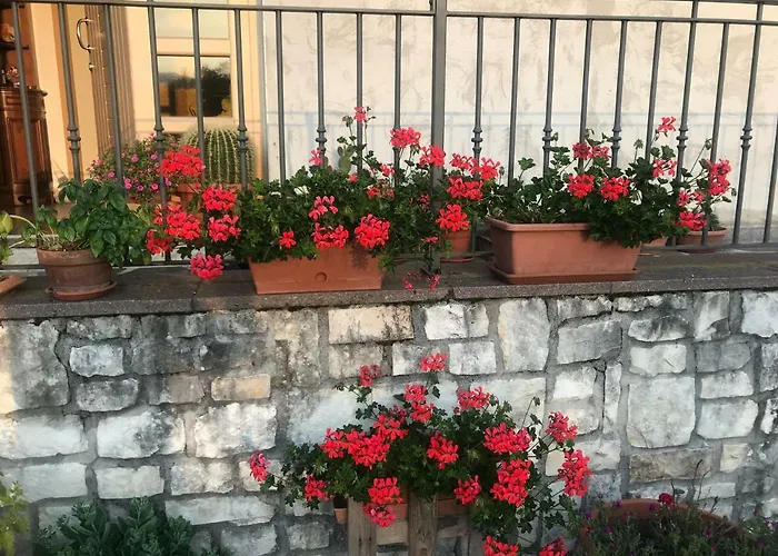 Nocleg ze śniadaniem Puffele Enego