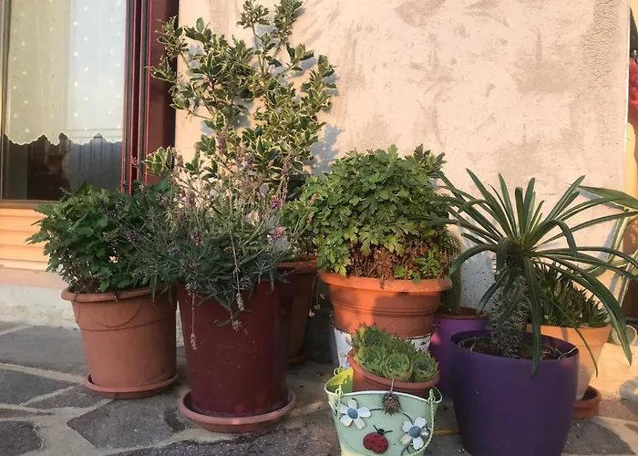 Bed and breakfast Puffele Enego