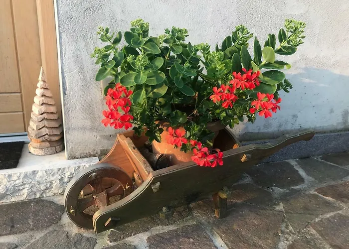 Puffele Nocleg ze śniadaniem 3*